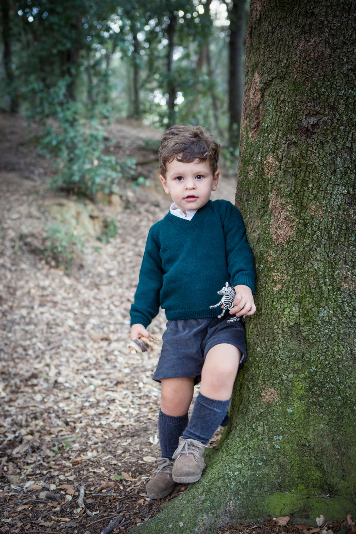 Jersey Peak forest green